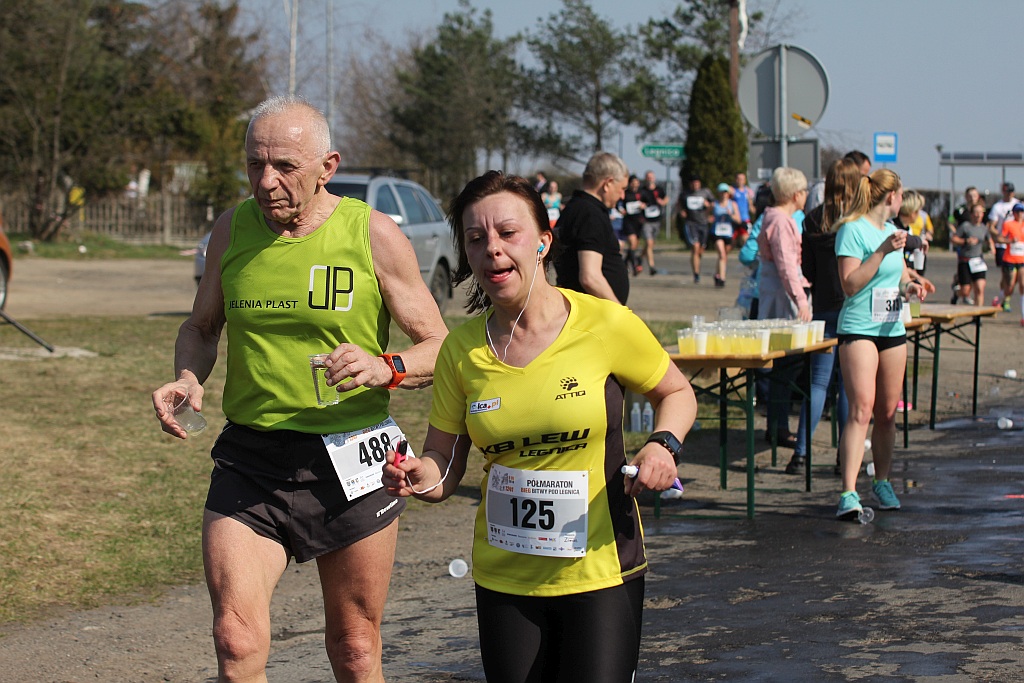 Półmaraton Bitwy pod Legnicą 1241. Legnica - Legnickie Pole cz3