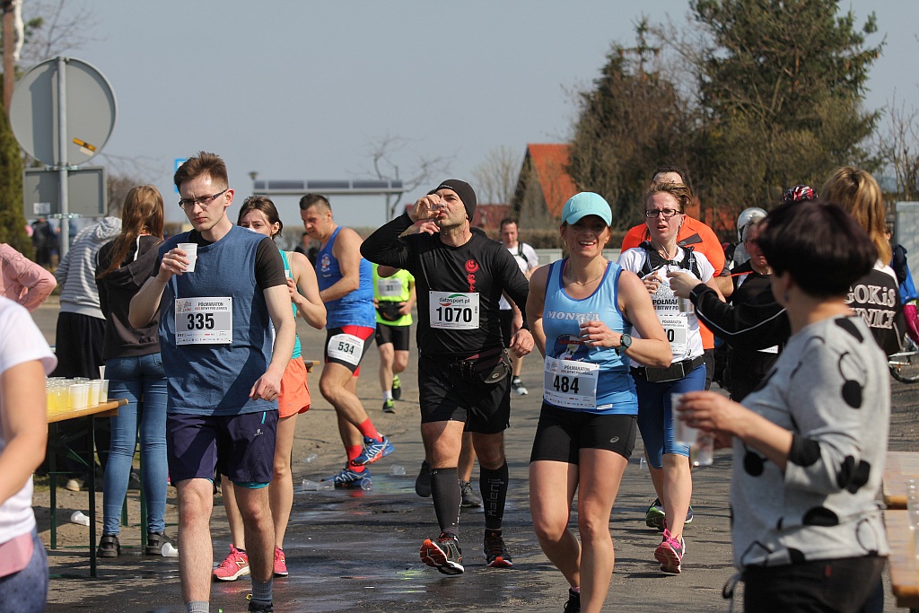 Półmaraton Bitwy pod Legnicą 1241. Legnica - Legnickie Pole cz3