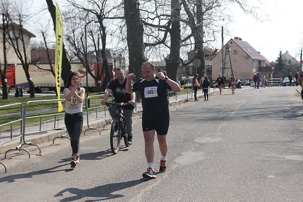 Półmaraton Bitwy pod Legnicą 1241. Legnica - Legnickie Pole cz1
