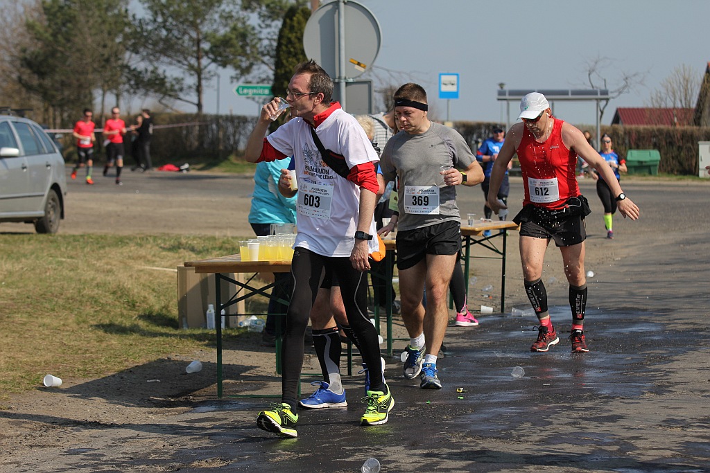 Półmaraton Bitwy pod Legnicą 1241. Legnica - Legnickie Pole cz3