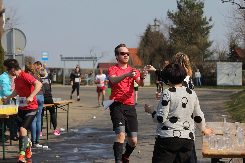 Półmaraton Bitwy pod Legnicą 1241. Legnica - Legnickie Pole cz3