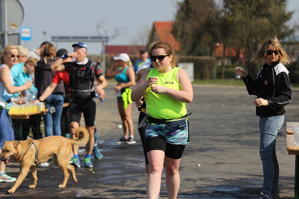 Półmaraton Bitwy pod Legnicą 1241. Legnica - Legnickie Pole cz3