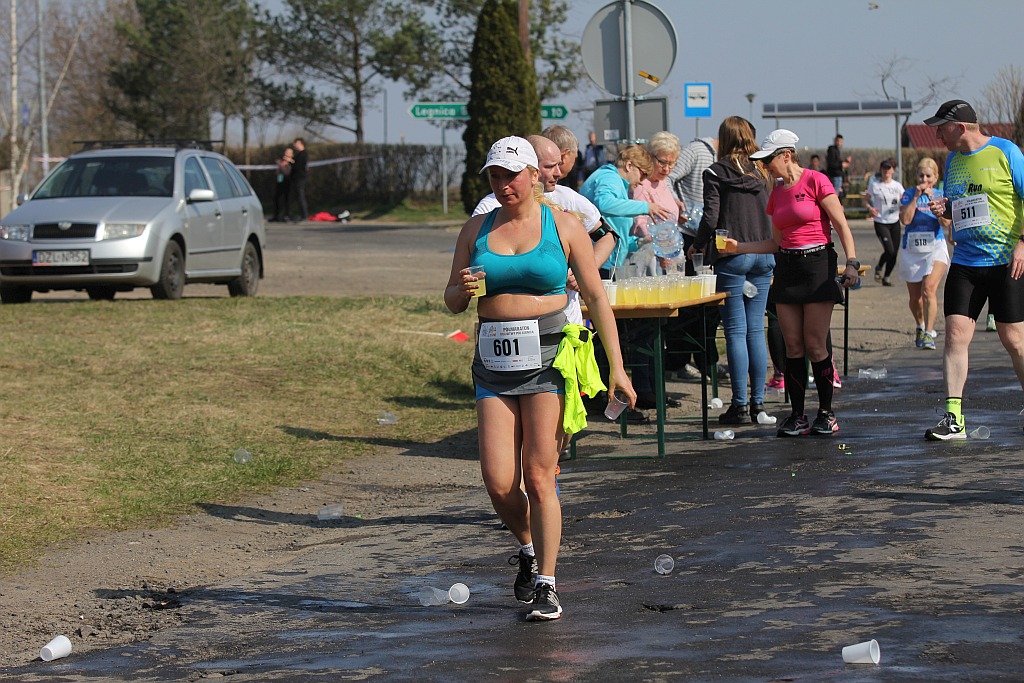 Półmaraton Bitwy pod Legnicą 1241. Legnica - Legnickie Pole cz3