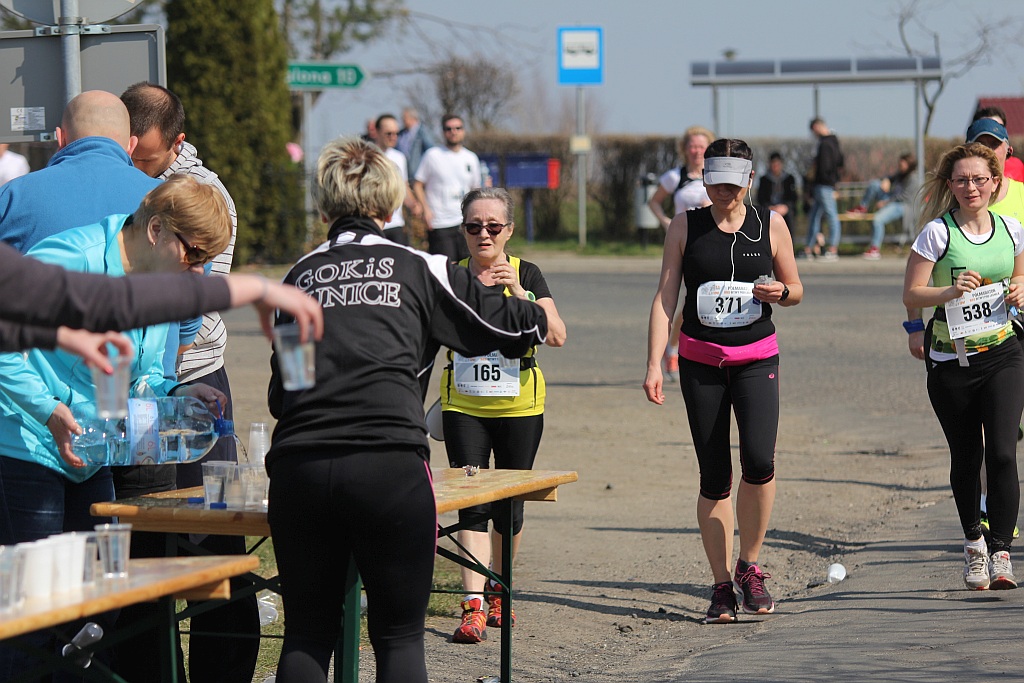 Półmaraton Bitwy pod Legnicą 1241. Legnica - Legnickie Pole cz3