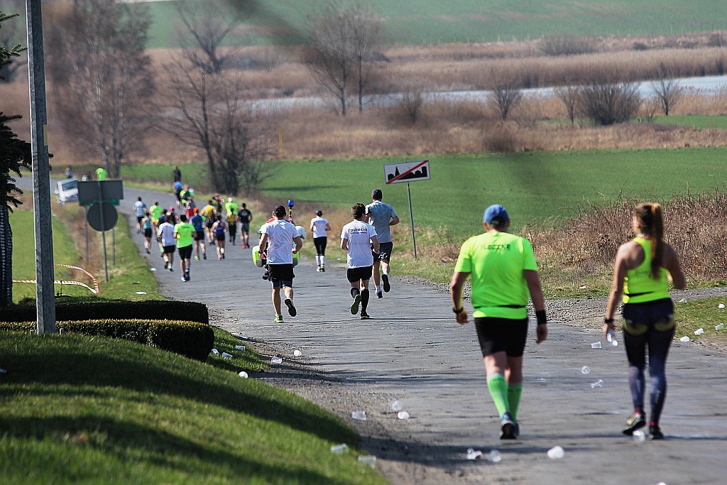 Półmaraton Bitwy pod Legnicą 1241. Legnica - Legnickie Pole cz3