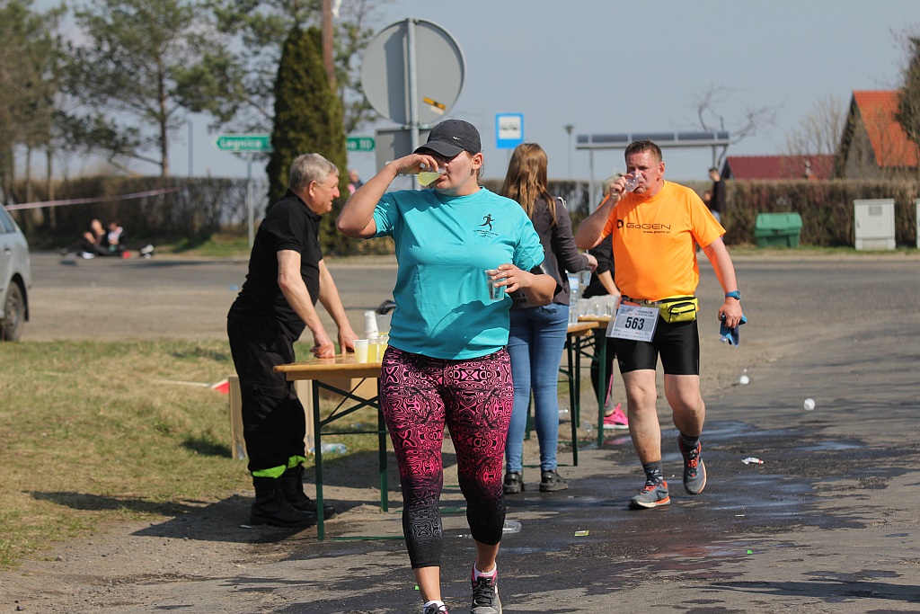 Półmaraton Bitwy pod Legnicą 1241. Legnica - Legnickie Pole cz3