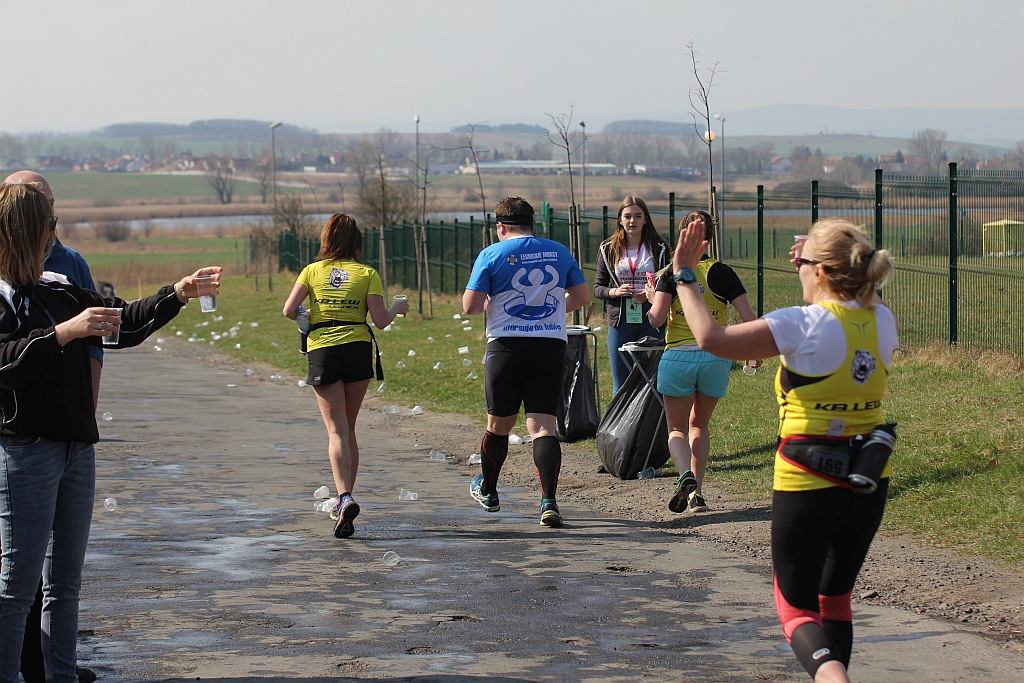 Półmaraton Bitwy pod Legnicą 1241. Legnica - Legnickie Pole cz3