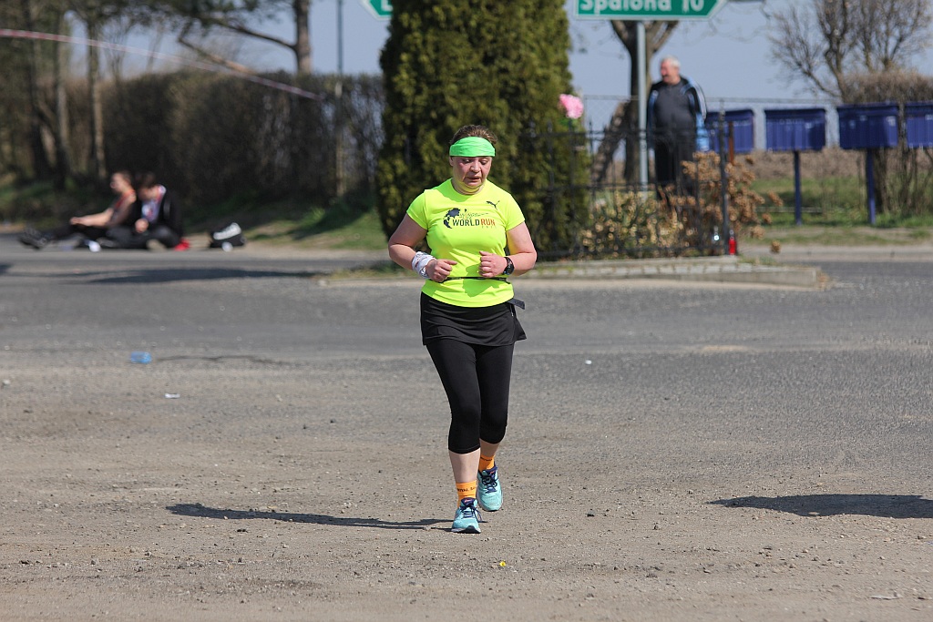 Półmaraton Bitwy pod Legnicą 1241. Legnica - Legnickie Pole cz3
