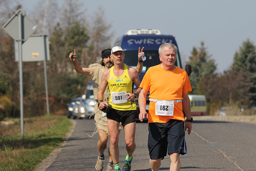 Półmaraton Bitwy pod Legnicą 1241. Legnica - Legnickie Pole cz3