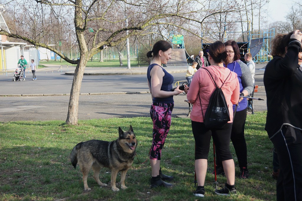 Ponad 50 osób przyszło na pierwsze zajęcia Nordic Walking