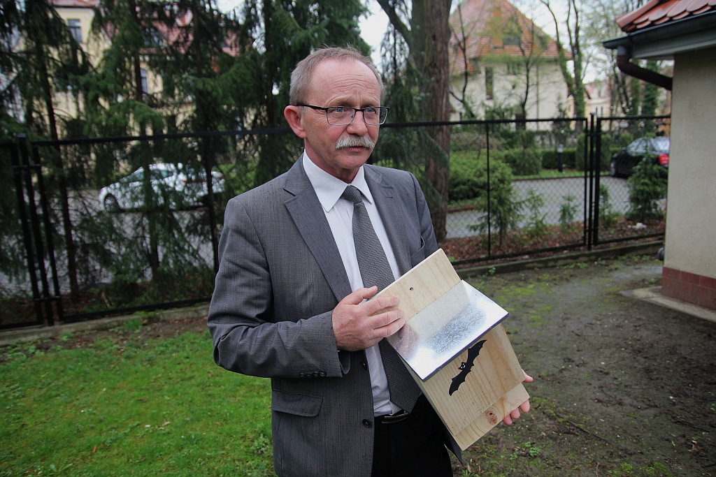 Pracownicy WFOŚiGW powiesili na drzewach budki dla ptaków