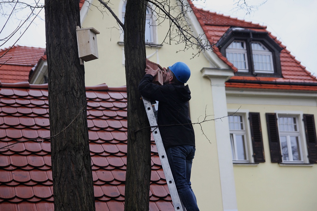 Pracownicy WFOŚiGW powiesili na drzewach budki dla ptaków