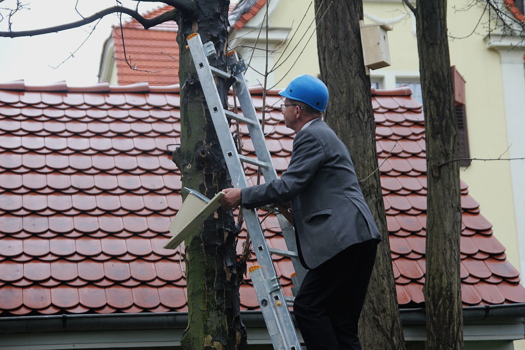 Pracownicy WFOŚiGW powiesili na drzewach budki dla ptaków