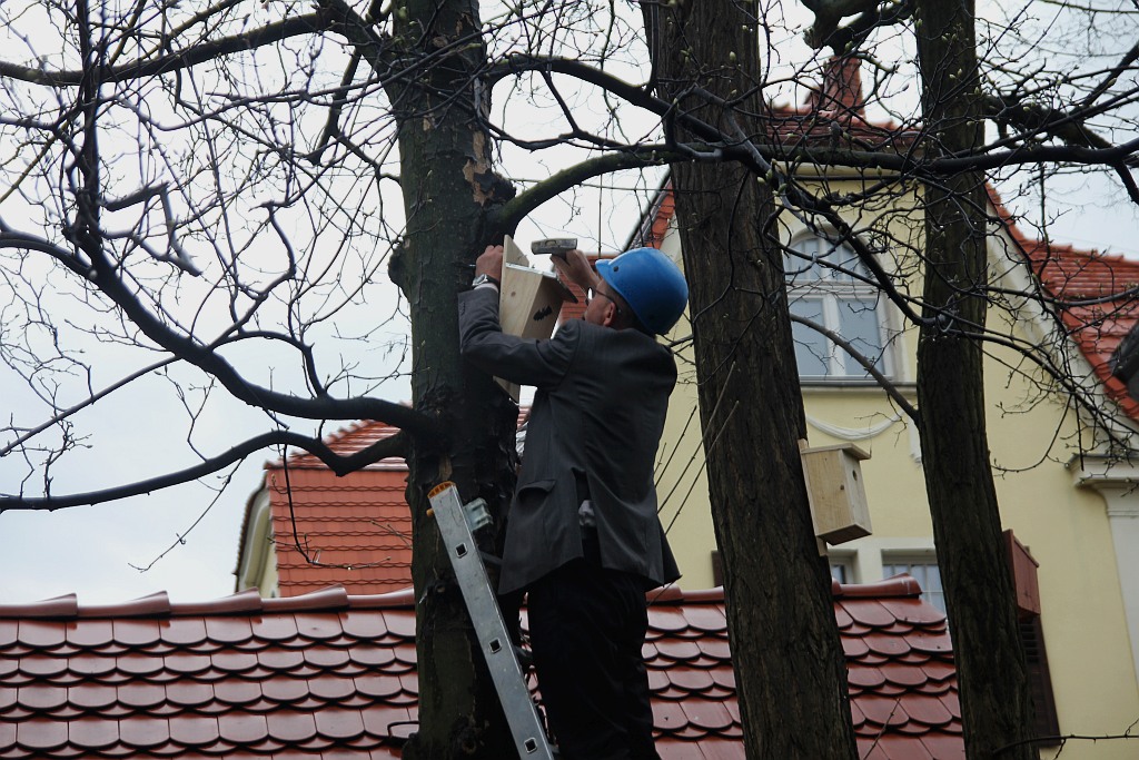 Pracownicy WFOŚiGW powiesili na drzewach budki dla ptaków