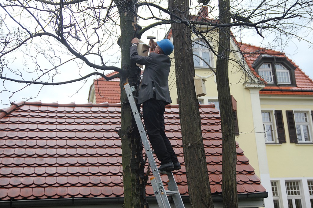 Pracownicy WFOŚiGW powiesili na drzewach budki dla ptaków