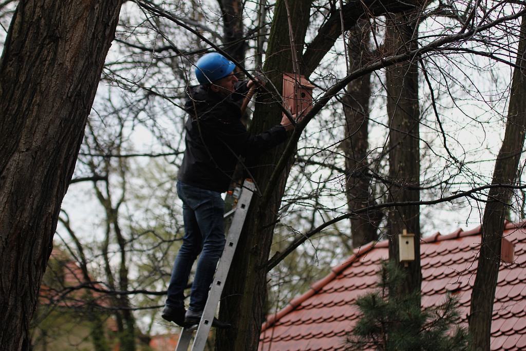 Pracownicy WFOŚiGW powiesili na drzewach budki dla ptaków