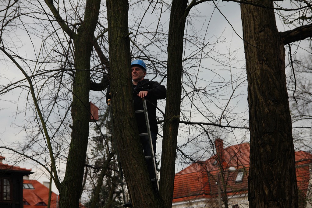 Pracownicy WFOŚiGW powiesili na drzewach budki dla ptaków