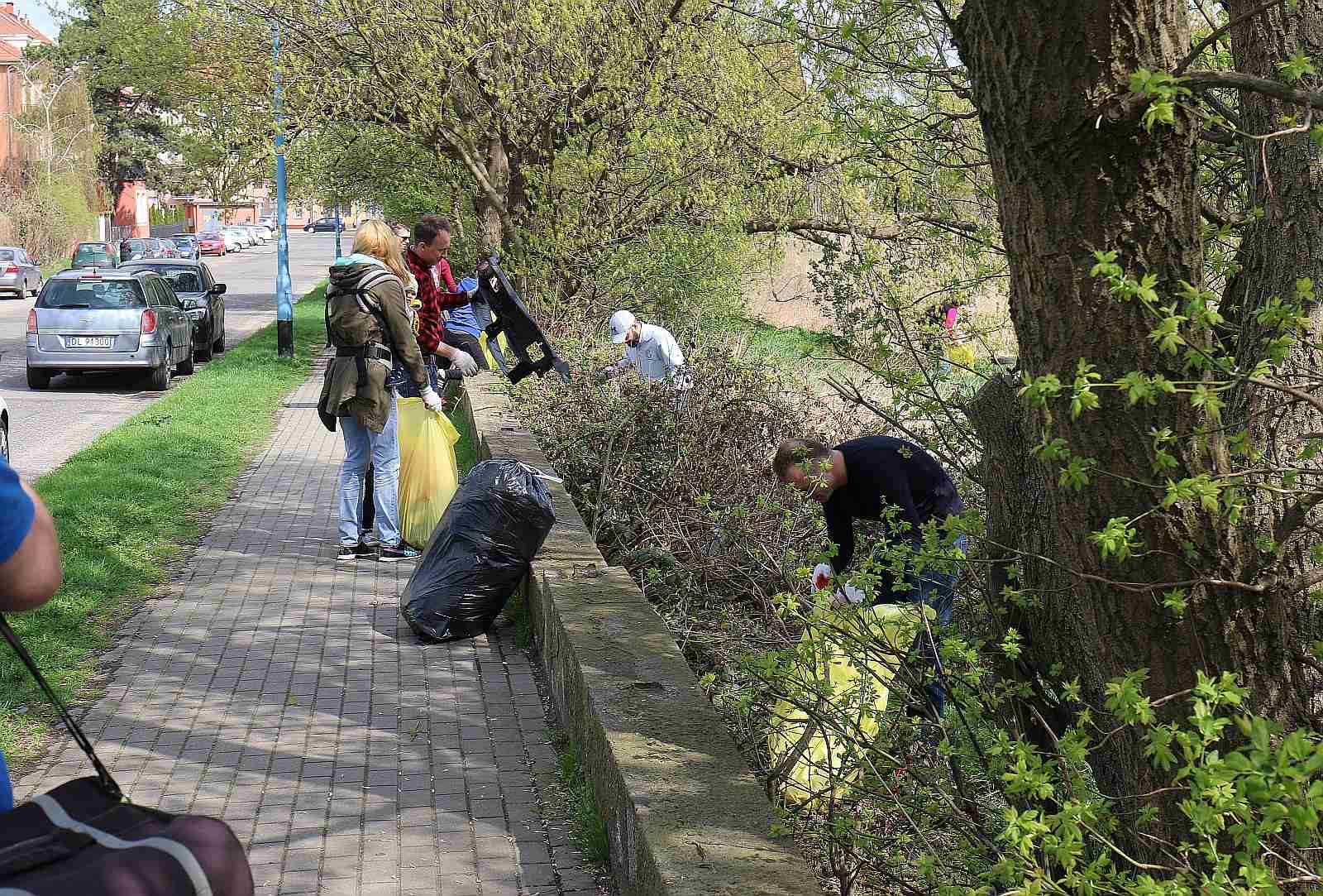 Odbyło się wielkie sobotnie porządkowanie Legnicy cz. 2