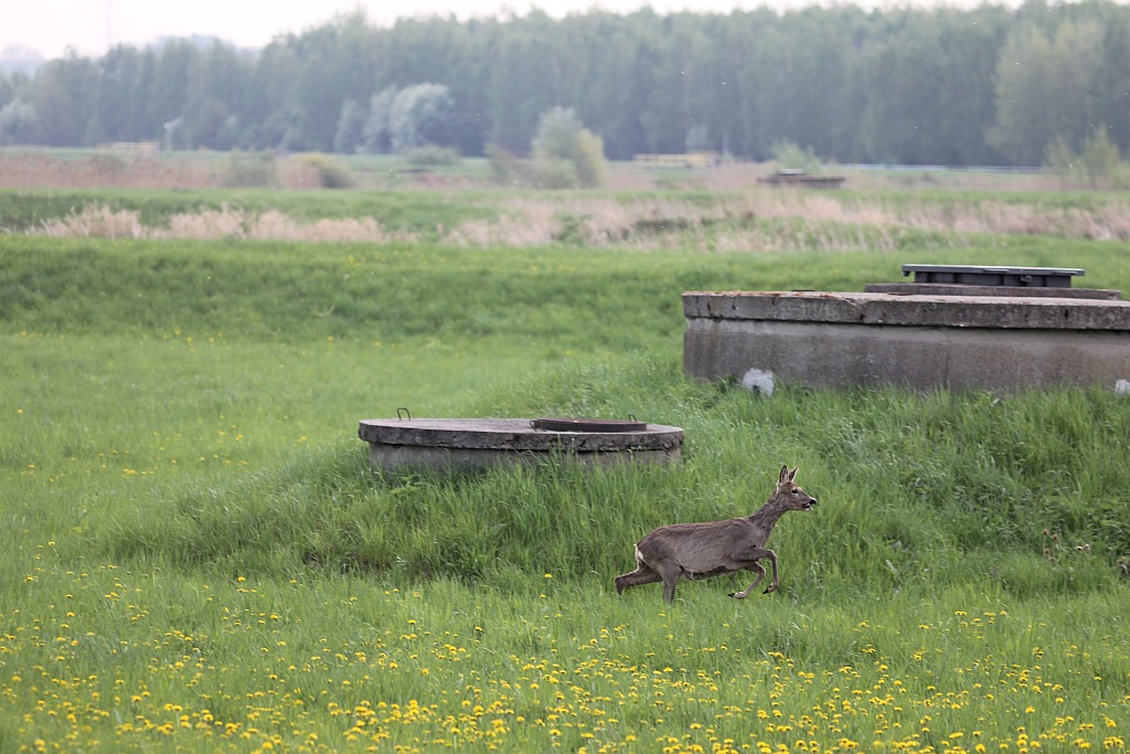 Miejskie manewry służb ratunkowych na terenie LPWiK