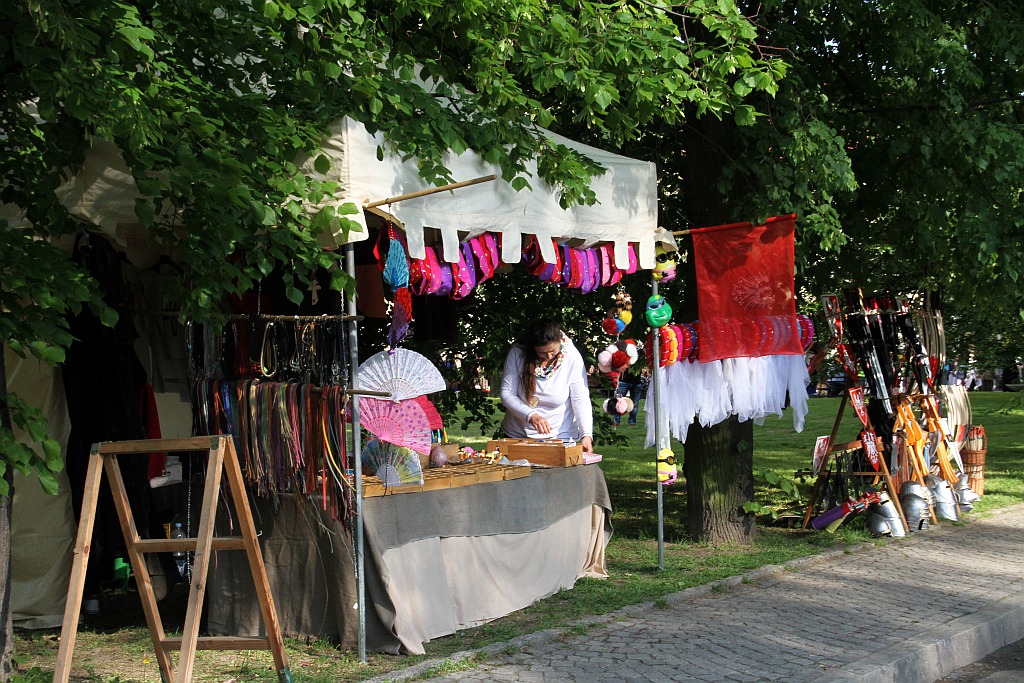 Rozpoczął się piknik Historyczny w Legnickim Polu