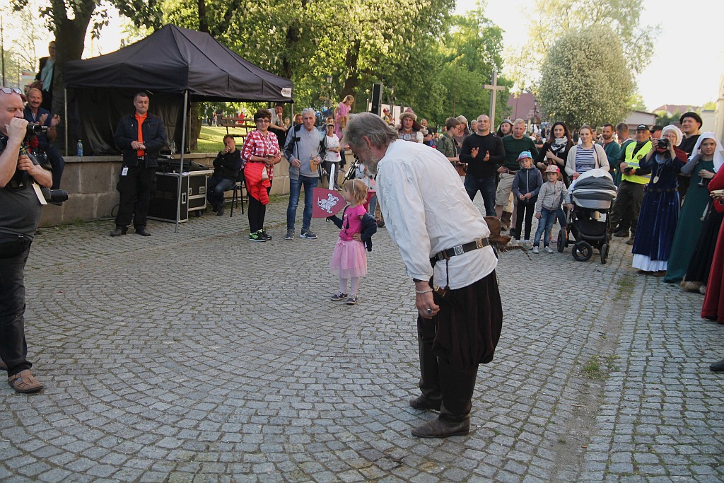 Pokazy w trakcie pikniku historycznego w Legnickim Polu
