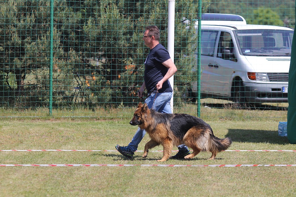 Krajowa Wystawa Psów Rasowych w Miłogostowicach