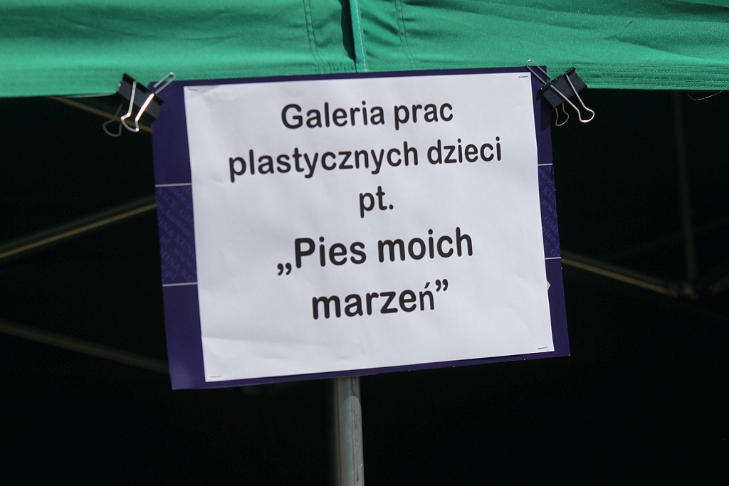 Krajowa Wystawa Psów Rasowych w Miłogostowicach