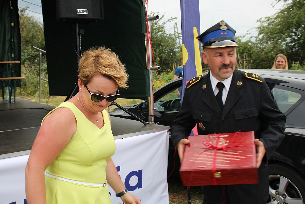 Strażacy z Ulesia świętowali jubileusz 70-lecia OSP