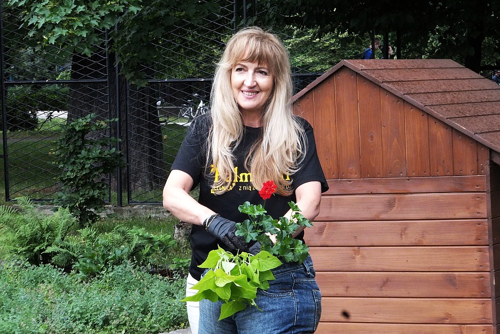 Oryginalne mini - ogrody powstawały w palmiarni