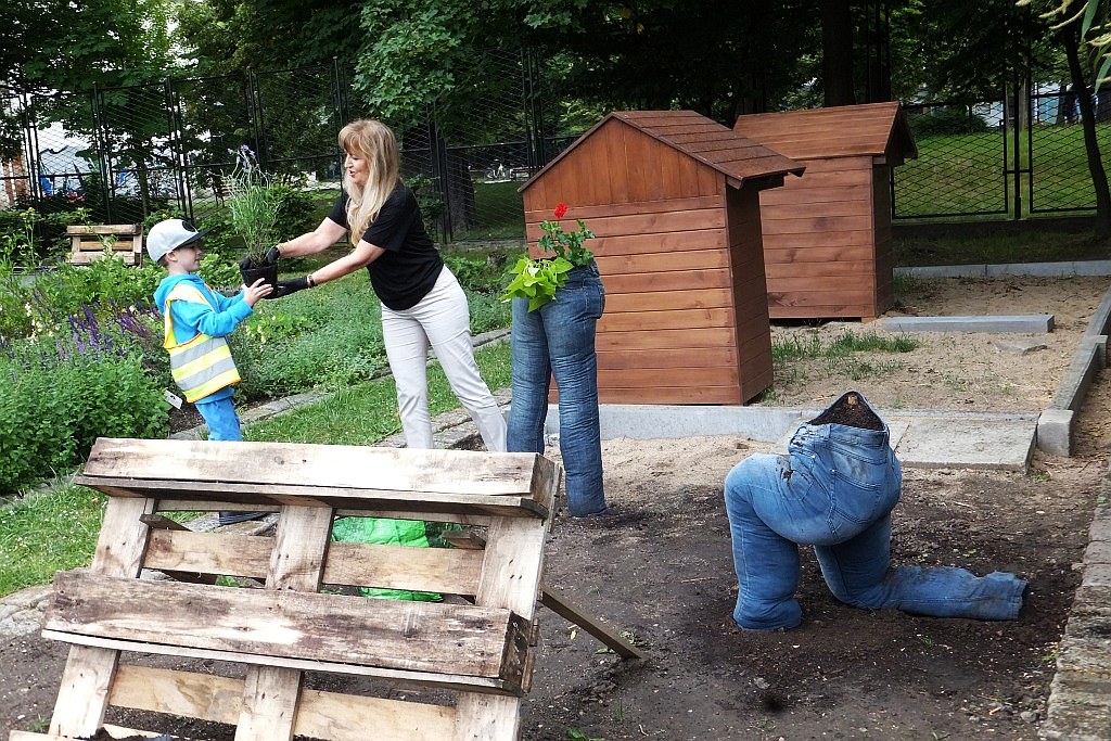 Oryginalne mini - ogrody powstawały w palmiarni