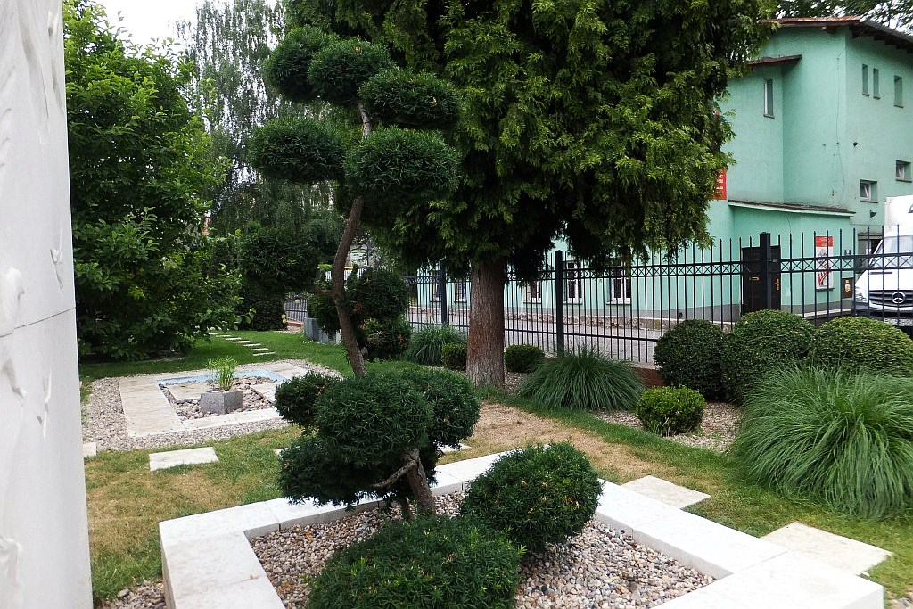 Legnicka palmiarnia czeka na adopcyjnych rodziców