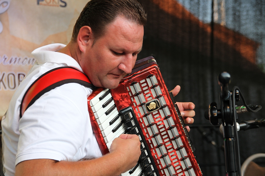 Na prochowickim rynku odbył się wspaniały koncert akordeonowy