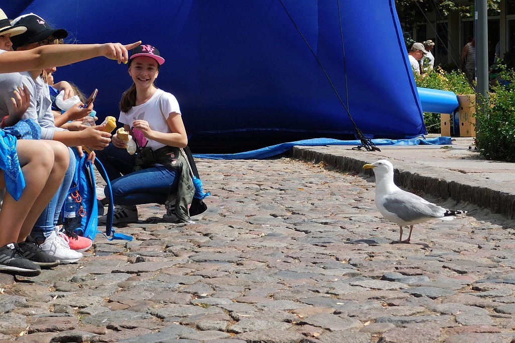 Taniec, morze, zabawa. Z Chomiak Event nie jest nudno