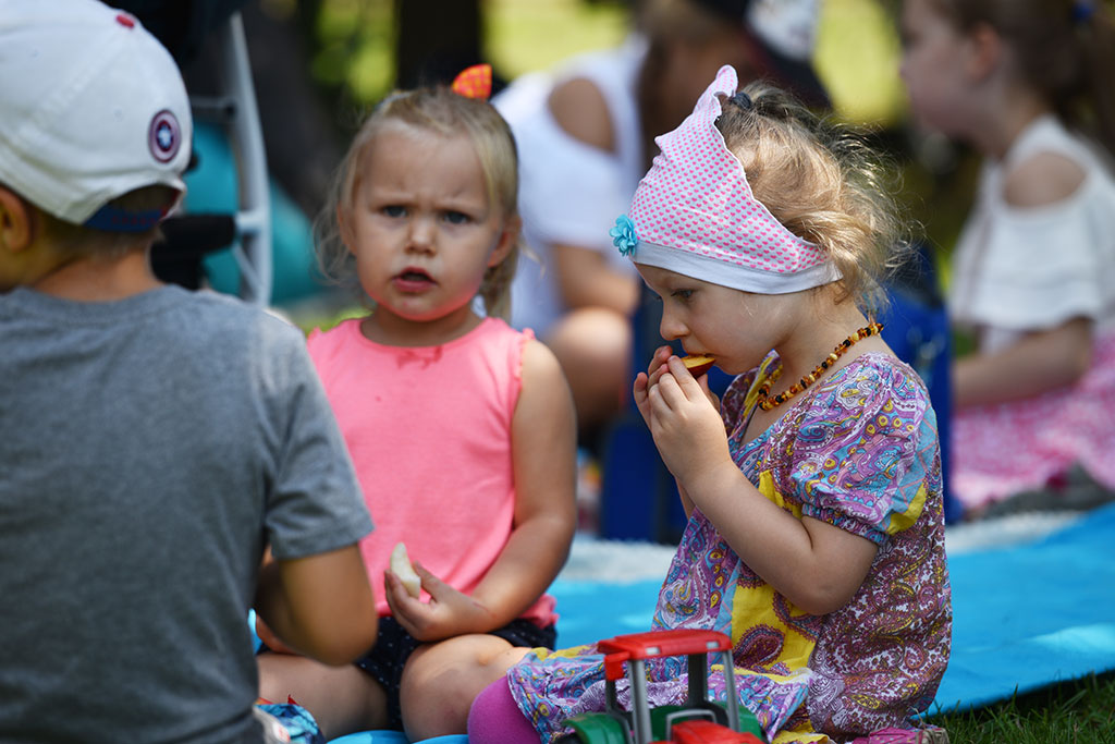 Niedzielny piknik na Polanie Angielskiej Parku Miejskiego
