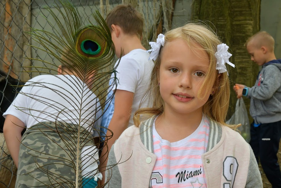 Dzieci z SDK Atrium zwiedzają Dolny Śląsk i bawią się