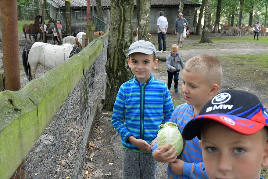 Dzieci z SDK Atrium zwiedzają Dolny Śląsk i bawią się