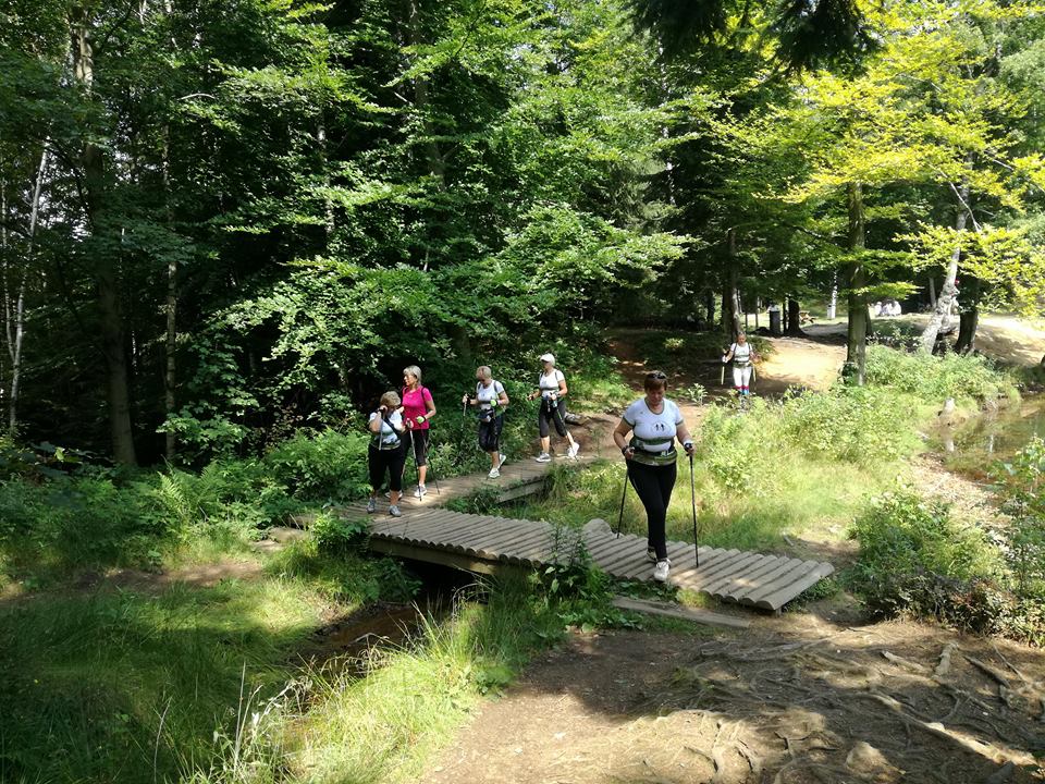 Drapiki i pasjonaci nordic walking na wspólnym wyjeździe