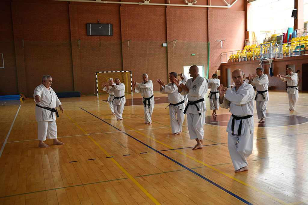 Staż karate z włoskim mistrzem Giuseppe Beghetto w Legnicy