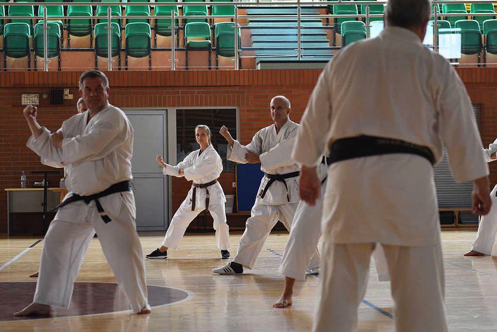 Staż karate z włoskim mistrzem Giuseppe Beghetto w Legnicy