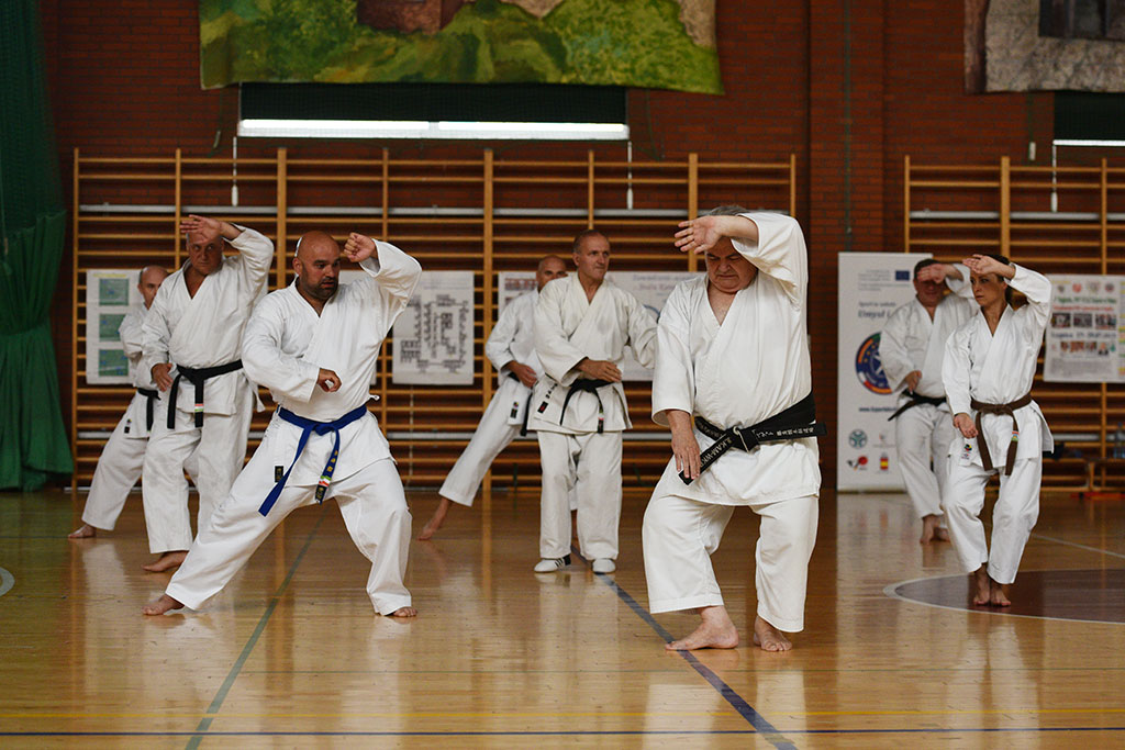 Staż karate z włoskim mistrzem Giuseppe Beghetto w Legnicy