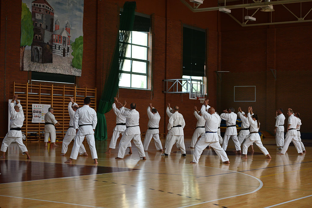 Staż karate z włoskim mistrzem Giuseppe Beghetto w Legnicy
