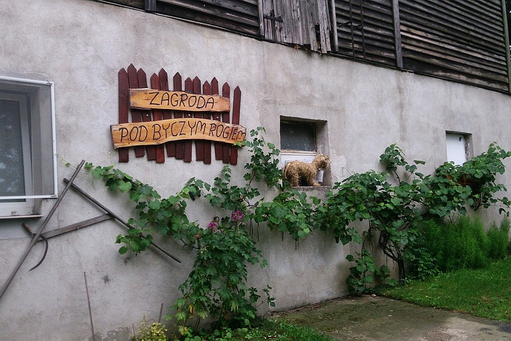 „Letnia Przygoda Edukacyjna” i inne atrakcje w Golance Górnej