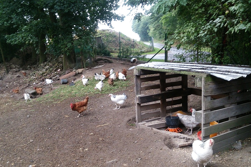 „Letnia Przygoda Edukacyjna” i inne atrakcje w Golance Górnej