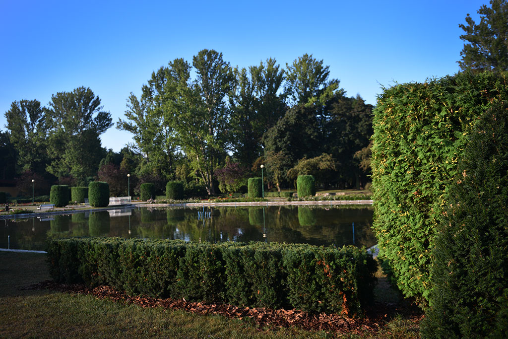 Legnicki Park Miejski o poranku wygląda olśniewająco