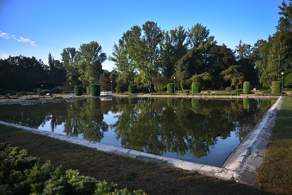 Legnicki Park Miejski o poranku wygląda olśniewająco