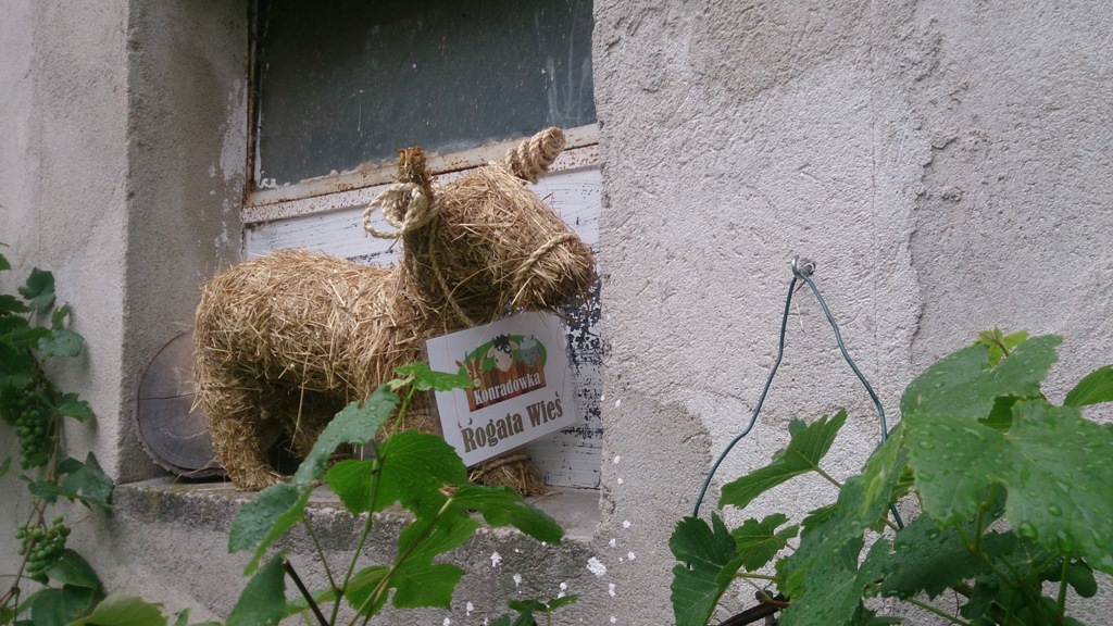 „Letnia Przygoda Edukacyjna” i inne atrakcje w Golance Górnej