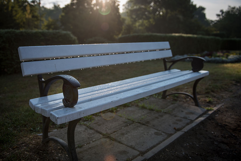 Legnicki Park Miejski o poranku wygląda olśniewająco