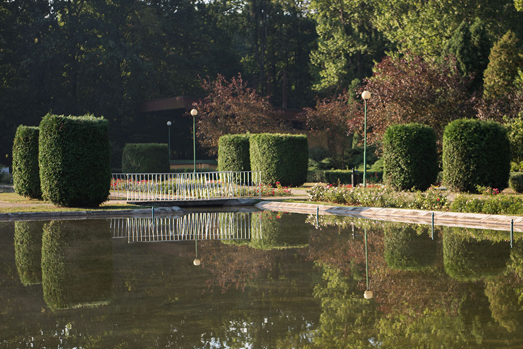 Legnicki Park Miejski o poranku wygląda olśniewająco