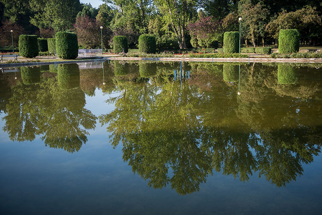 Legnicki Park Miejski o poranku wygląda olśniewająco