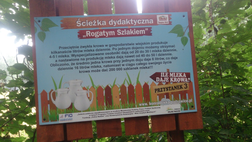 „Letnia Przygoda Edukacyjna” i inne atrakcje w Golance Górnej